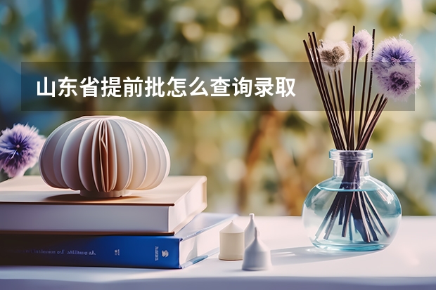 山东省提前批怎么查询录取