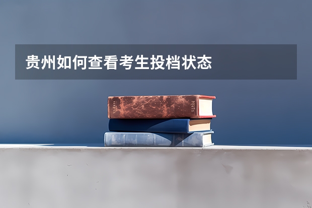 贵州如何查看考生投档状态