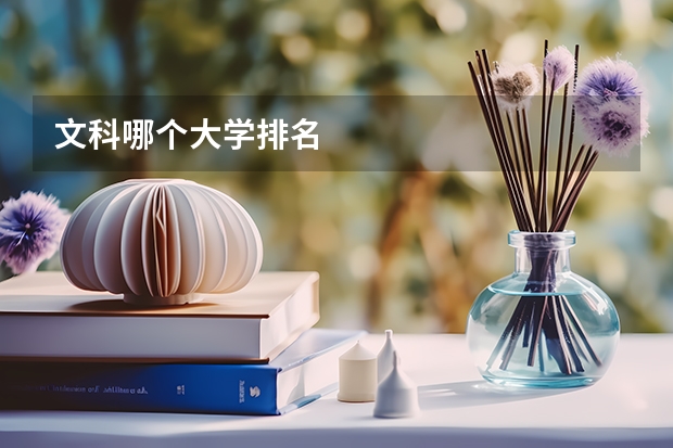 文科哪个大学排名