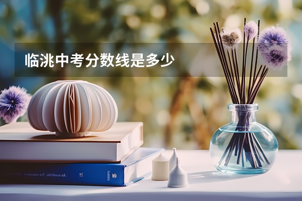 临洮中考分数线是多少