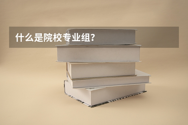 什么是院校专业组？