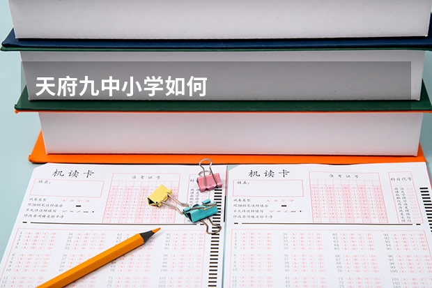 天府九中小学如何