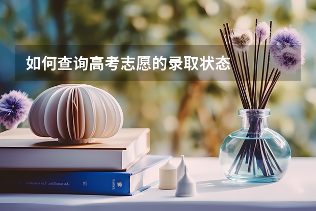 如何查询高考志愿的录取状态