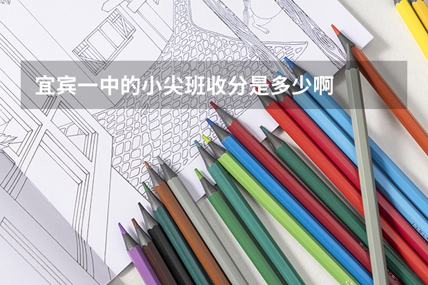 宜宾一中的小尖班收分是多少啊