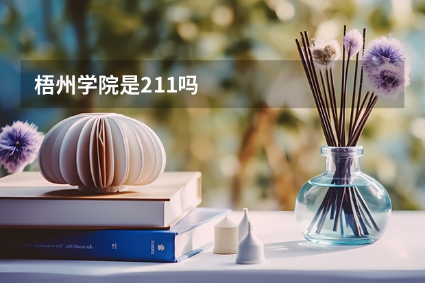 梧州学院是211吗