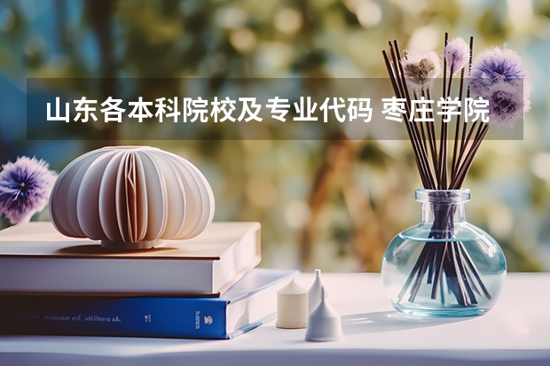山东各本科院校及专业代码 枣庄学院代码及专业代码