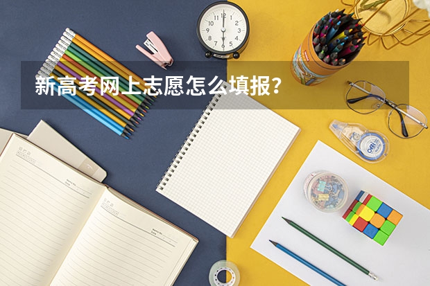 新高考网上志愿怎么填报？