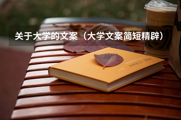 关于大学的文案（大学文案简短精辟）