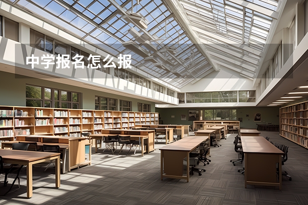 中学报名怎么报