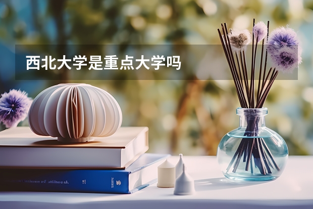 西北大学是重点大学吗