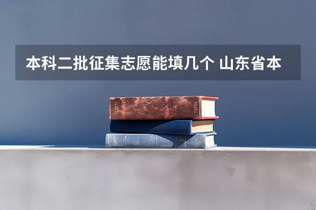 本科二批征集志愿能填几个 山东省本科二批征集志愿可以报几个学校？