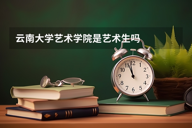 云南大学艺术学院是艺术生吗