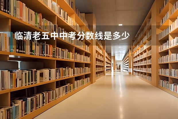 临清老五中中考分数线是多少