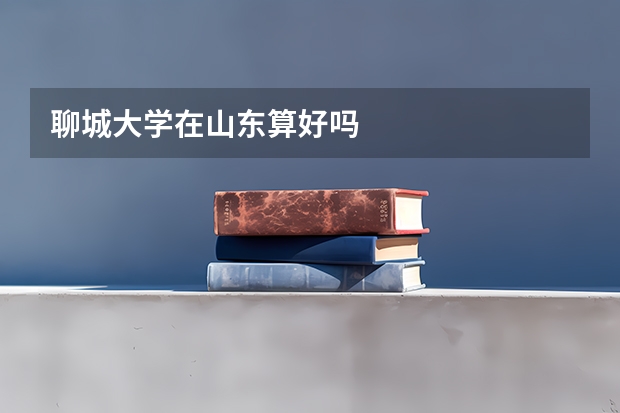 聊城大学在山东算好吗
