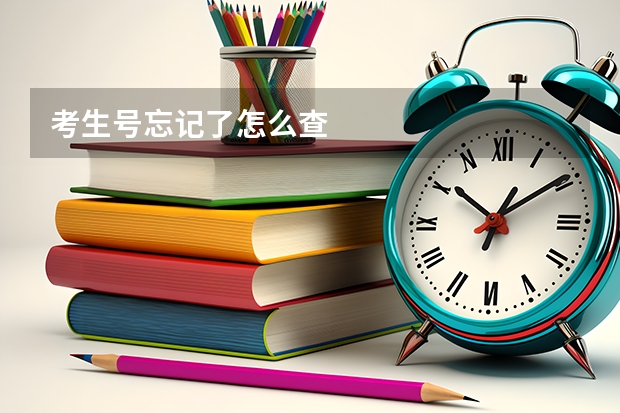 考生号忘记了怎么查