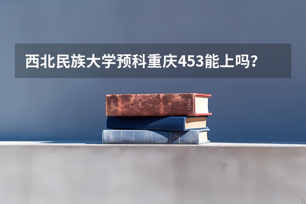 西北民族大学预科重庆453能上吗？