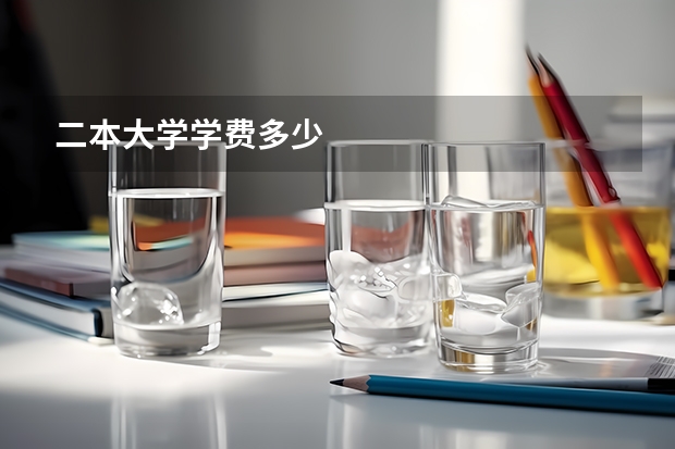 二本大学学费多少