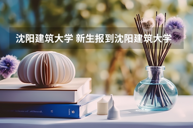 沈阳建筑大学 新生报到沈阳建筑大学，从沈阳北站打车应在沈建大哪个