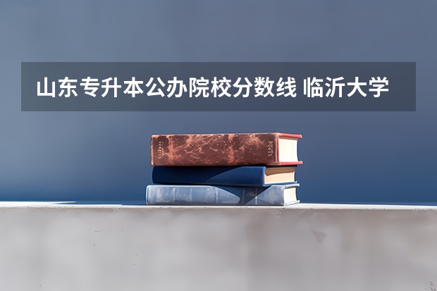 山东专升本公办院校分数线 临沂大学分数线