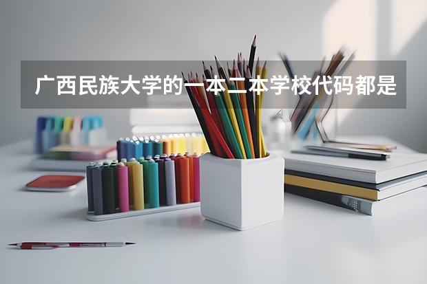 广西民族大学的一本二本学校代码都是一样的吗.com