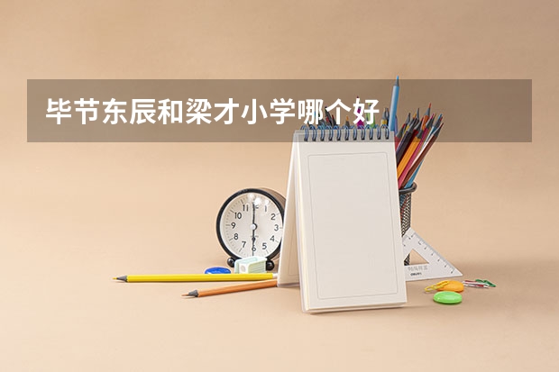 毕节东辰和梁才小学哪个好