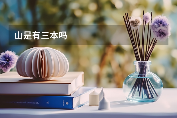 山是有三本吗