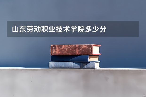 山东劳动职业技术学院多少分