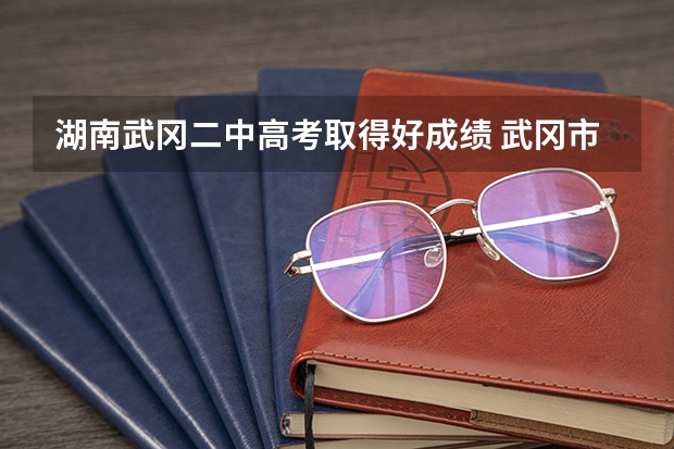 湖南武冈二中高考取得好成绩 武冈市洞庭实验学校成绩查询