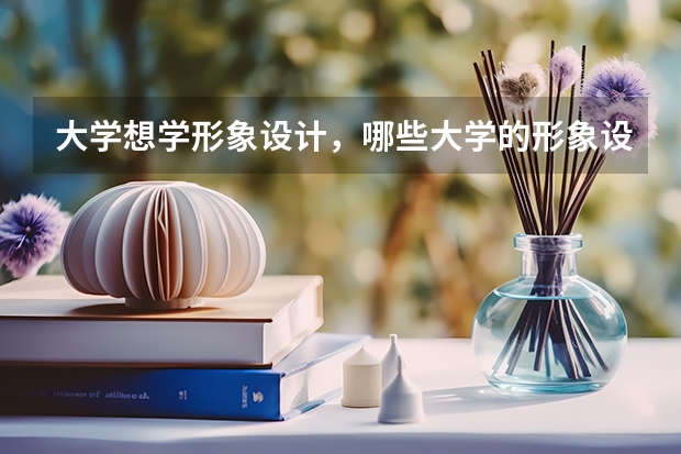 大学想学形象设计，哪些大学的形象设计专业很好？
