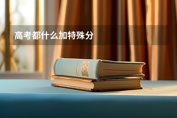 高考都什么加特殊分