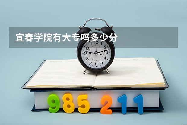 宜春学院有大专吗多少分