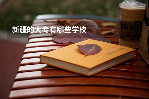 新疆的大专有哪些学校