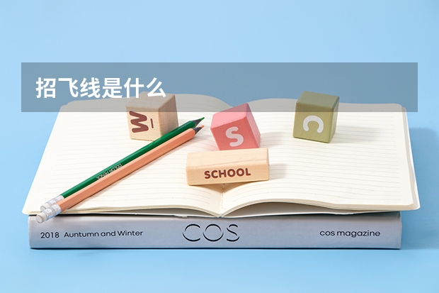 招飞线是什么