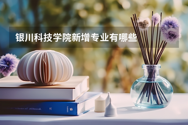 银川科技学院新增专业有哪些