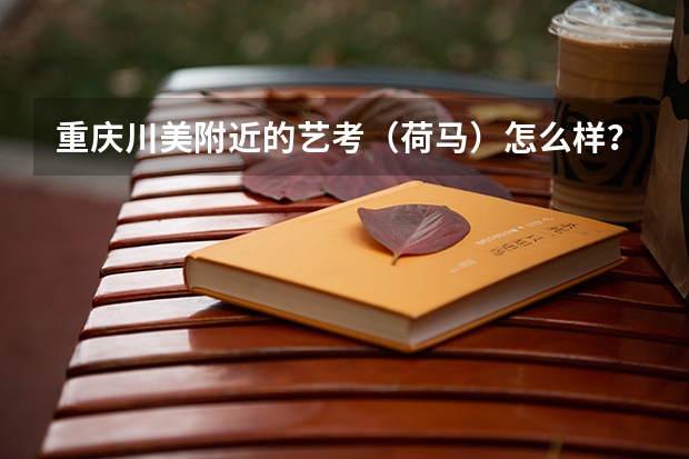 重庆川美附近的艺考（荷马）怎么样？