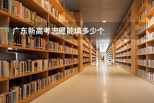 广东新高考志愿能填多少个
