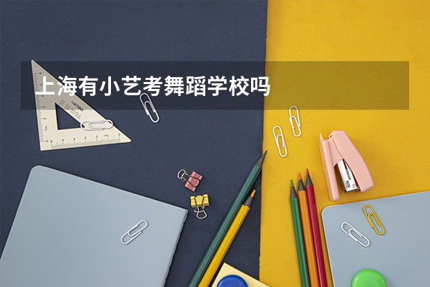 上海有小艺考舞蹈学校吗