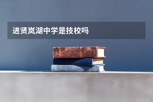 进贤岚湖中学是技校吗