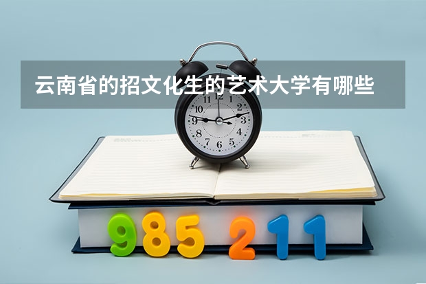 云南省的招文化生的艺术大学有哪些