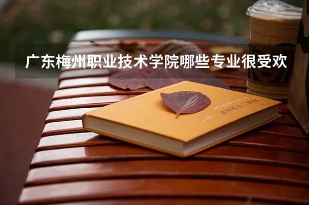 广东梅州职业技术学院哪些专业很受欢迎？