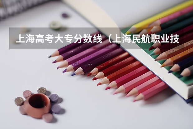 上海高考大专分数线（上海民航职业技术学院分数线）
