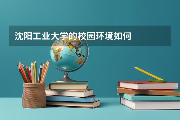 沈阳工业大学的校园环境如何
