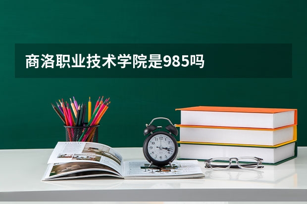 商洛职业技术学院是985吗