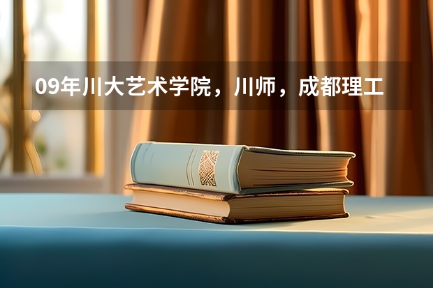 09年川大艺术学院,川师,成都理工大学影视艺术学院艺考招生简章(对山东艺考的评价)