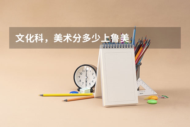文化科，美术分多少上鲁美
