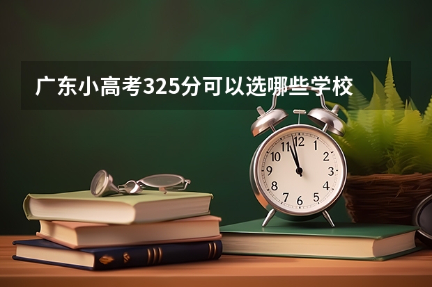 广东小高考325分可以选哪些学校