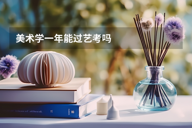 美术学一年能过艺考吗