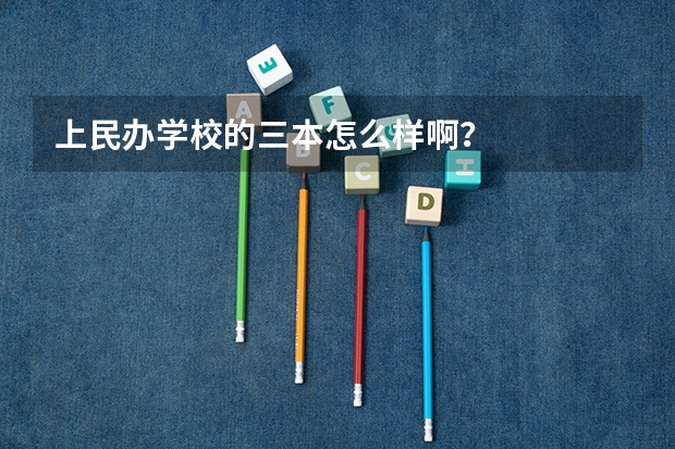 上民办学校的三本怎么样啊？