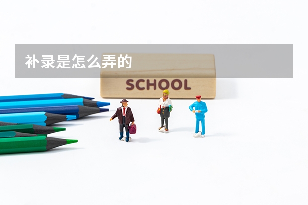 补录是怎么弄的