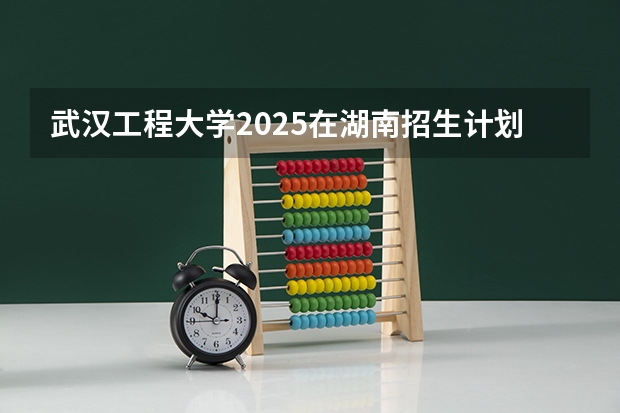 武汉工程大学2025在湖南招生计划预测